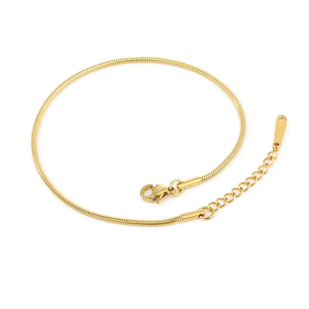 Minimal Gold Snake Chain Anklet LA10107